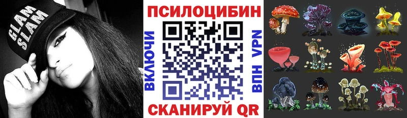 продажа наркотиков  Яблоновский  Псилоцибиновые грибы Cubensis 